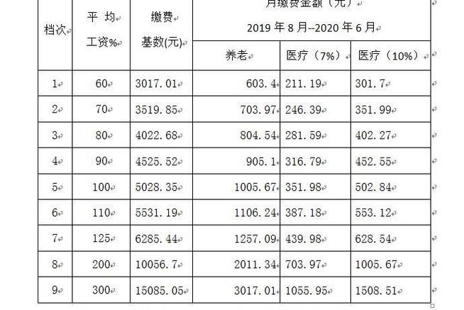 邯郸社保缴费基数游戏截图