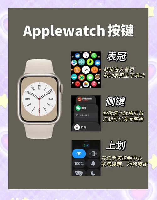 苹果手表英语改中文截图