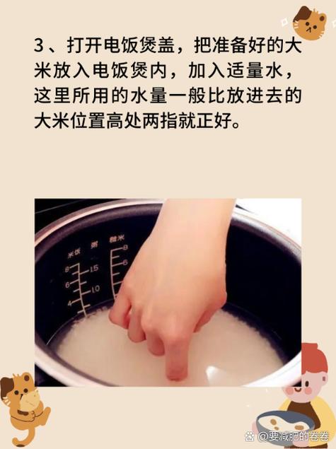 小米电饭煲煮饭是按快煮还是精煮图标