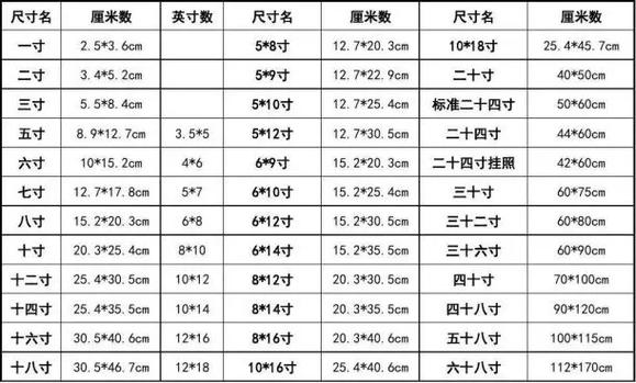 一寸电子照片尺寸图标
