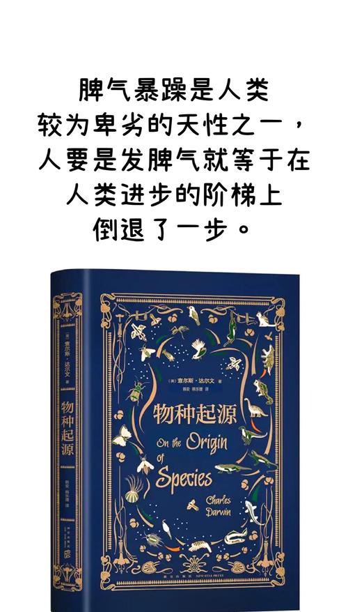 达文小说网官网截图