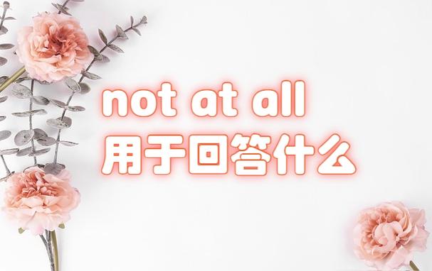 not…at all的用法图标