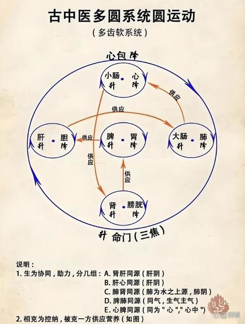 吃什么能强心补心截图