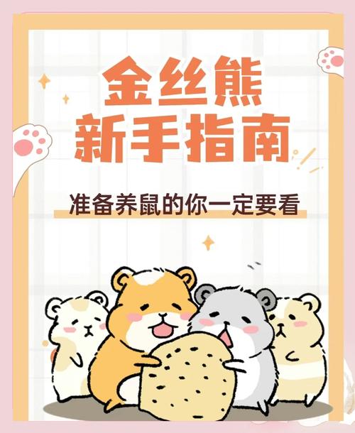金丝熊一天运动多久缩略图