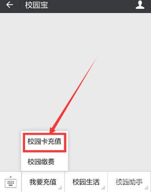 网上校园卡充值不显示验签失败的原因游戏截图