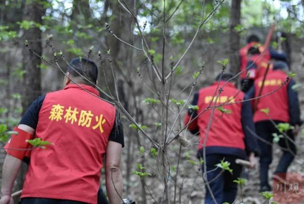 森林防火队员表决心缩略图