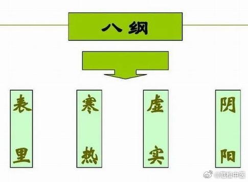 八纲辨证是指:表里,寒热,虚实,和截图