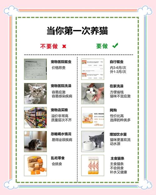 如何防止猫踩粑粑截图