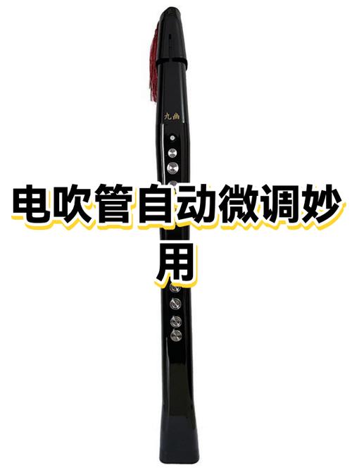 电吹管怎么定调截图