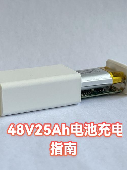 48v25ah锂电池用多大充电器