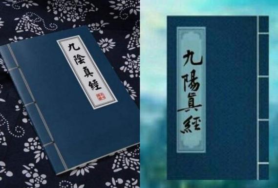 九阳神功与九阴真经游戏截图