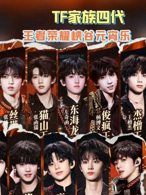 TF家族四代游戏缩略图
