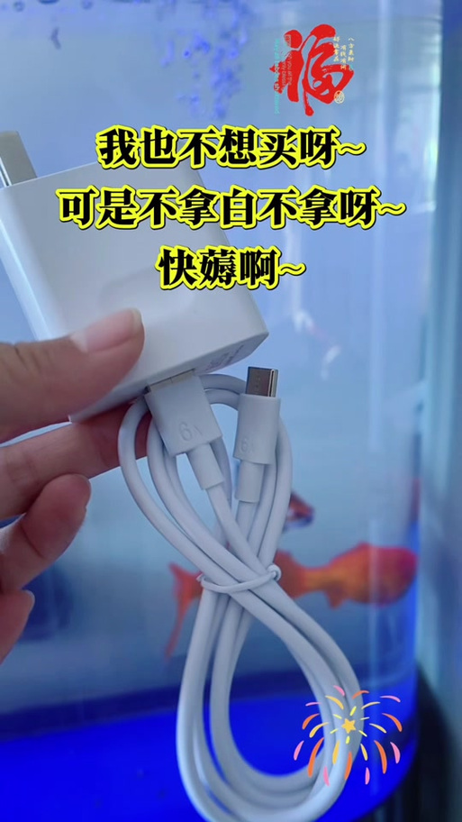 闪充充电器突然不能闪充了游戏截图