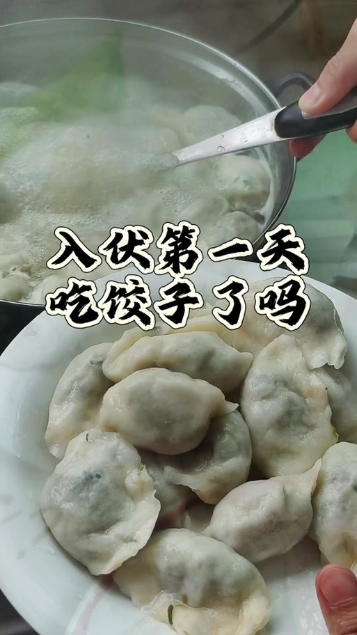 饺子是指哪个部位呢缩略图