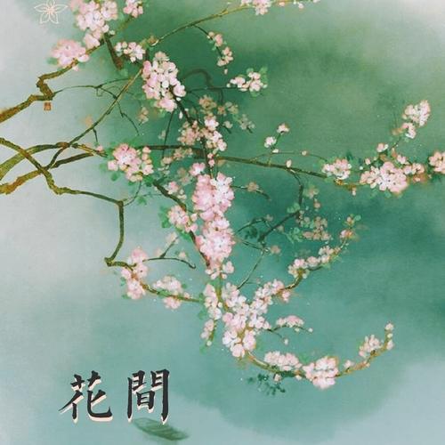 花间fm免费听正版图标