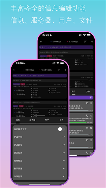 team viewer 远程控制截图