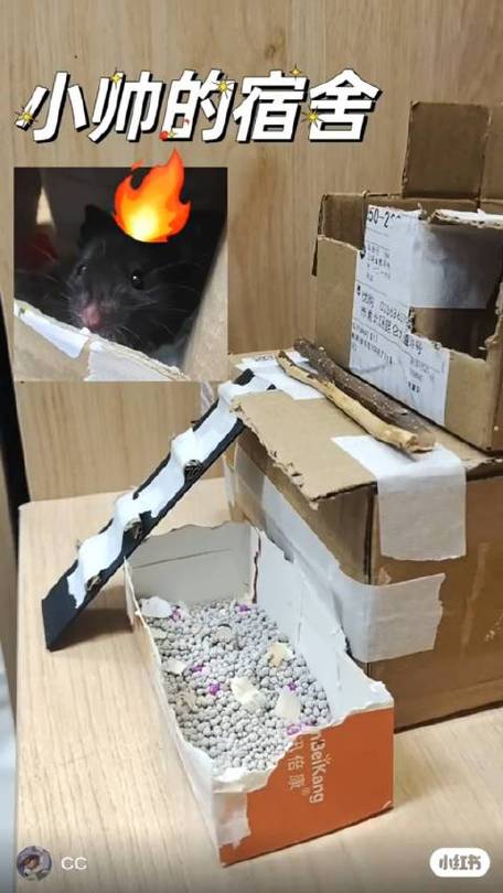 仓鼠身上沾了胶带特别惊恐缩略图