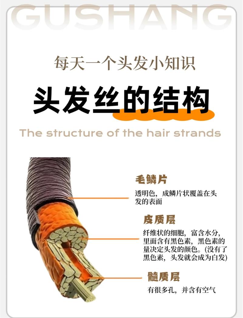 发轫与发韧哪个正确缩略图