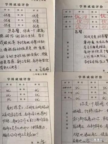 广西综合素质评价学生端