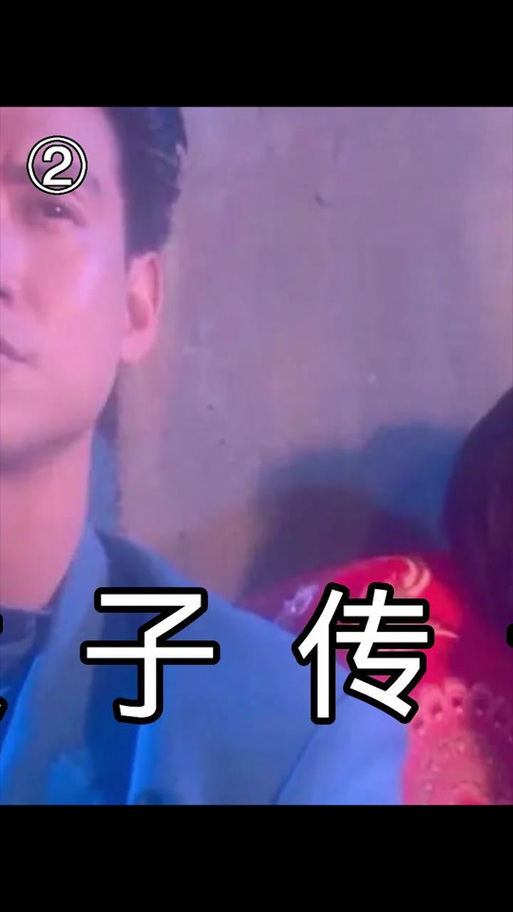 太子传说未删减版游戏截图