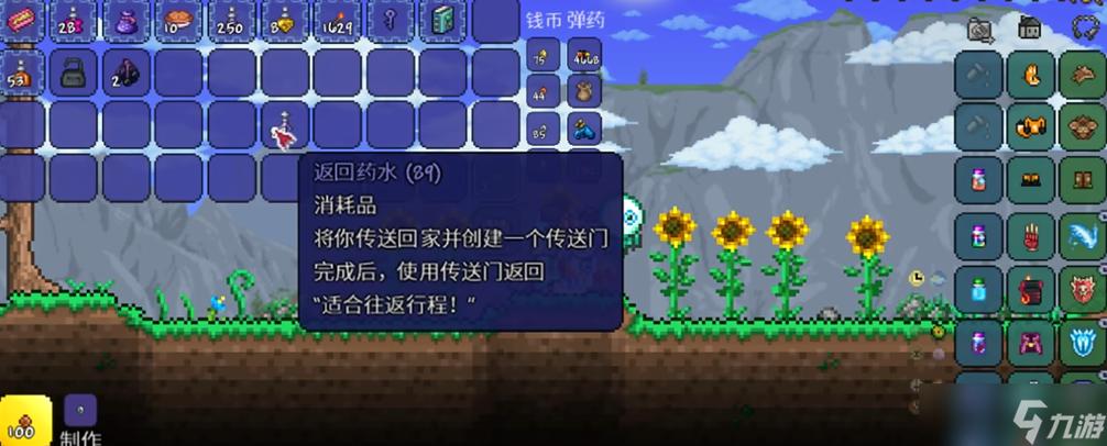 泰拉瑞亚传送门