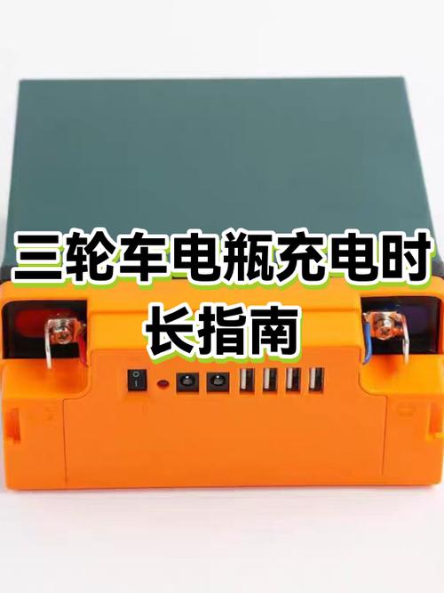 新电三轮电池第一次用怎样充电好游戏截图