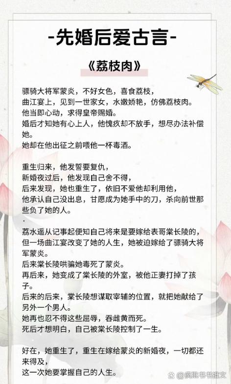 臣之妻私臣翻译图标