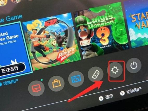 switch安装第三方软件