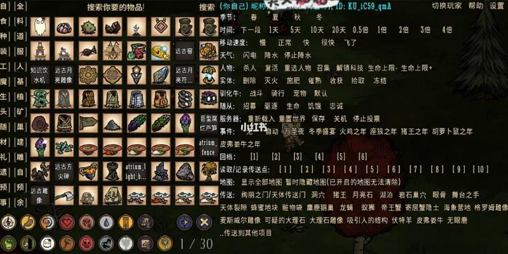 饥荒联机版控制台怎么打开截图