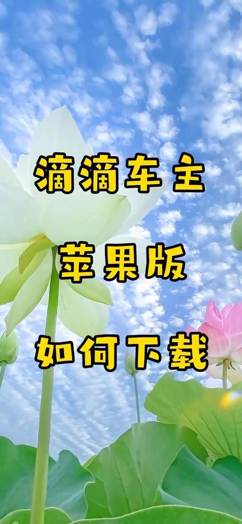 6.0.10滴滴车主官方下载缩略图