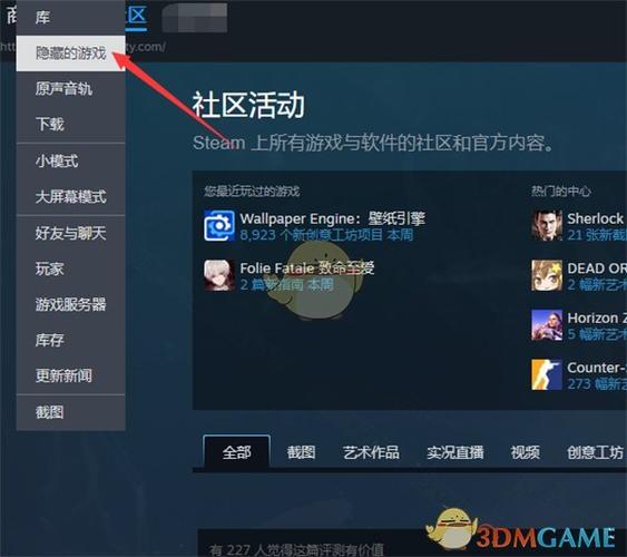 怎么查看被隐藏的steam游戏修改版永久VIP截图