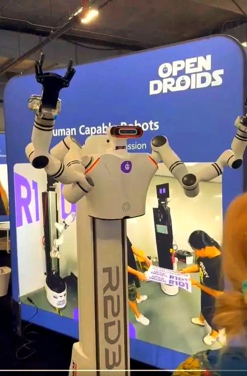 R2D3