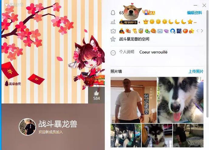 qq两个皇冠需要多少天图标