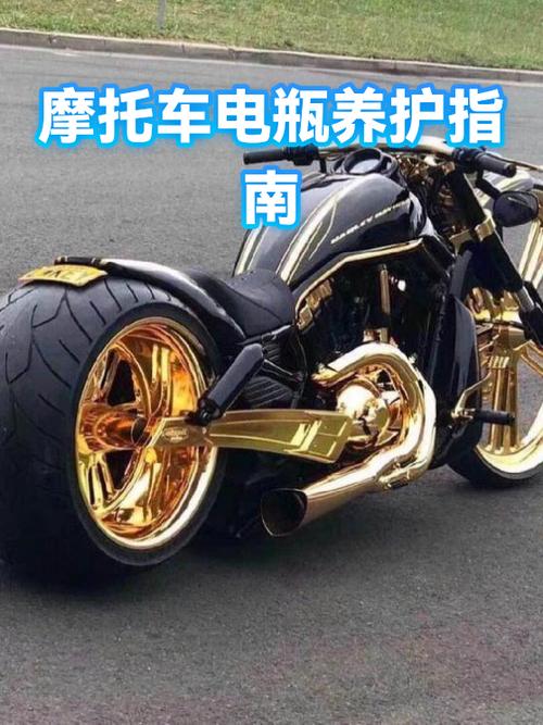 电瓶长时间充电会坏吗游戏截图