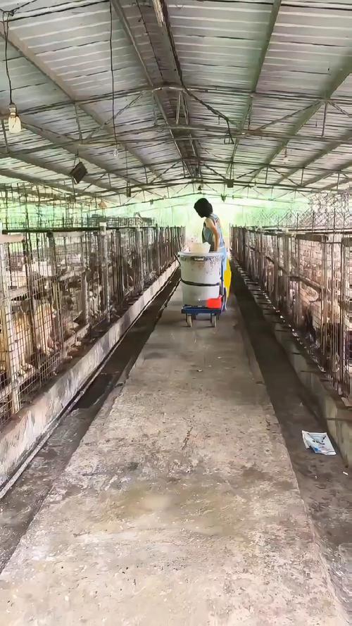 舜邦肉狗养殖基地截图