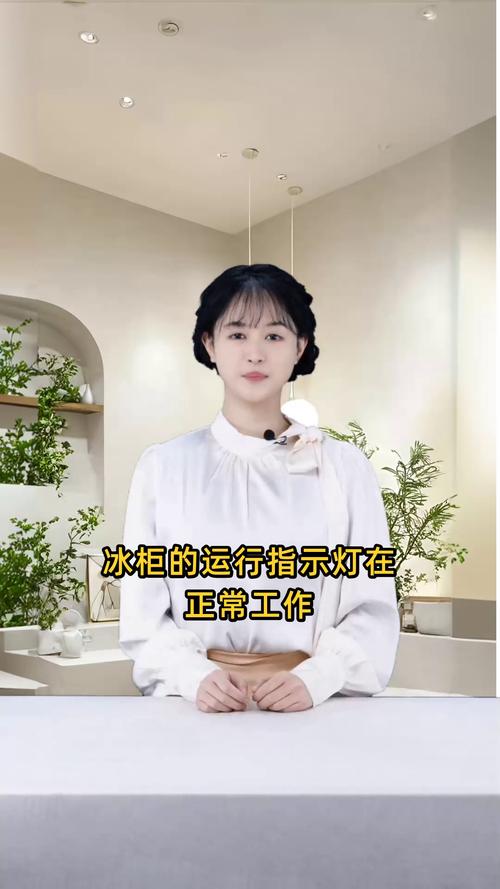 冰柜运行灯多久亮一次截图