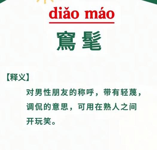广东叼毛是骂人的话吗截图
