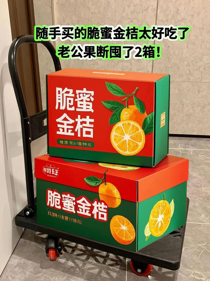 小橘子直装免卡密