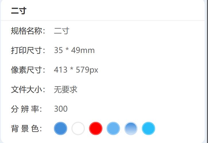 二寸照片电子版尺寸图标
