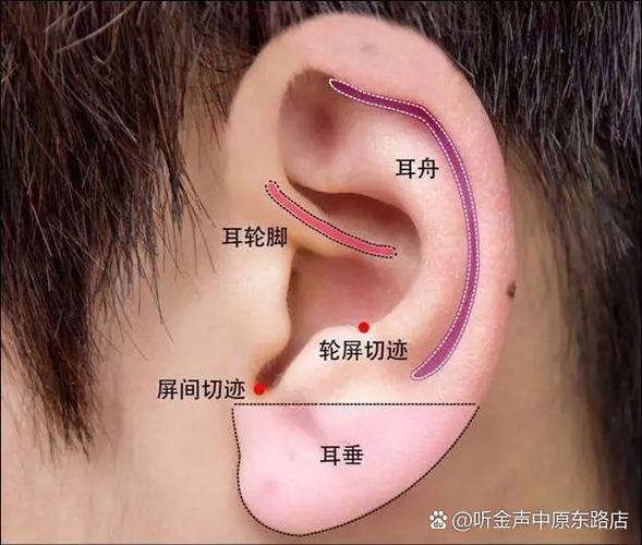 耳鸣按哪个穴位管用游戏截图