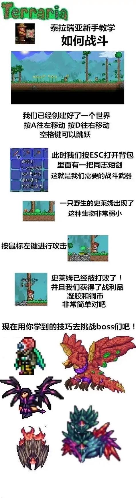 terraria灾厄 wiki图标