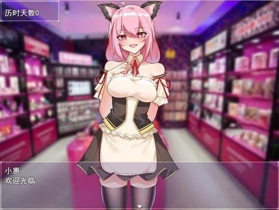 小慧的打工日记冷狐截图