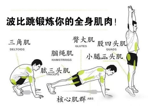 每天60个波比跳一个月能瘦多少