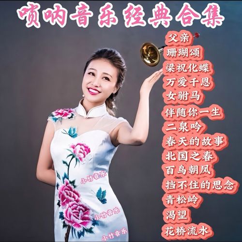 唢呐车载串烧大碟