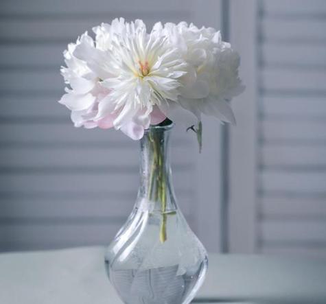 芍药深水还是浅水
