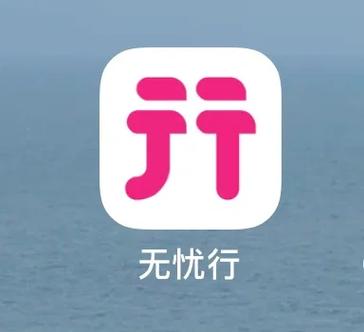 无忧行使用方法游戏截图