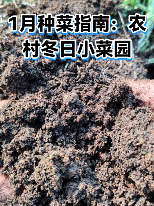 农村种菜图标
