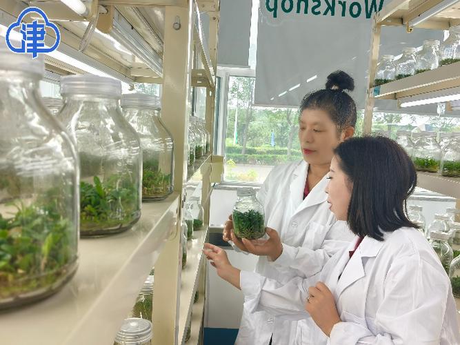含草实验研究所