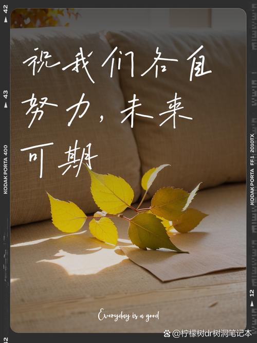 未来可期和前程似锦的意思截图