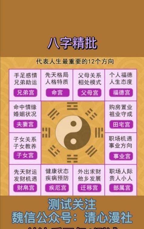 四柱八字查询免费图标